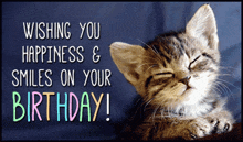 a birthday card with a cat and the words wishing you happiness & smiles on your birthday