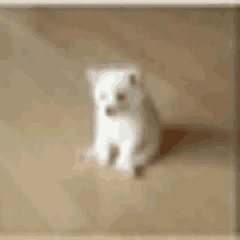 a small white puppy is sitting on the floor .