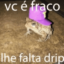 a frog wearing a purple hat is sitting in the dirt .