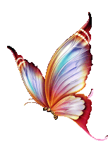 a colorful butterfly with a white background is flying