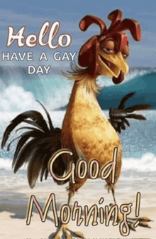 a rooster on the beach with the words hello have a gay day and good morning