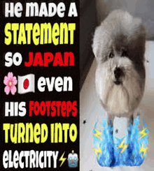 a dog is standing next to a sign that says " he made a statement so japan even his footsteps turned into electricity "