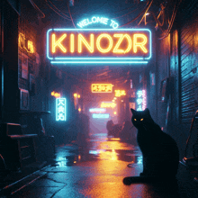 a black cat sits in front of a neon sign that reads welcome to kinozr