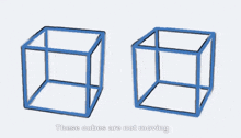 a drawing of two blue cubes with the words these cubes are not moving below them