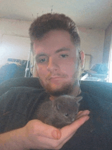 a man with a beard is holding a small grey kitten