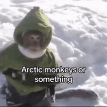 a monkey wearing a green jacket is in the snow