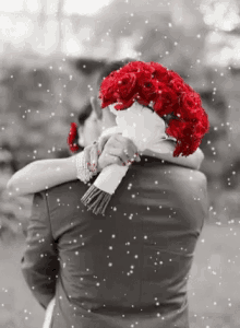 a black and white photo of a bride and groom kissing while the bride holds a bouquet of red roses .