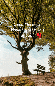 a tree with the words good morning have a great day ahead below it