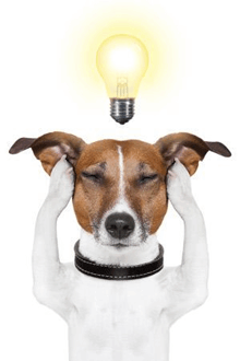 a dog is holding his head with a light bulb above it .