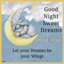 a picture of a gnome sleeping on a crescent moon with the words good night sweet dreams love you let your dreams be your wings