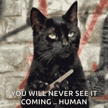 a black cat holding a knife with the words " you will never see it coming ... human "