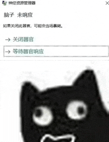 a black cat is making a funny face in a foreign language