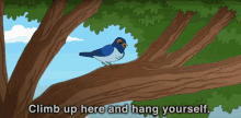 a cartoon of a bird on a tree branch with the words " climb up here and hang yourself " below it