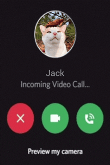 a phone screen shows a picture of a cat and says jack incoming video call preview my camera