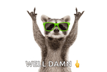 a raccoon wearing green sunglasses and giving the middle finger