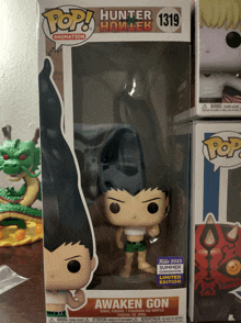 a funko pop of awaken gon from hunter x hunter is in a box