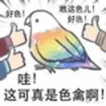 a cartoon of a rainbow parrot giving a thumbs up in chinese .