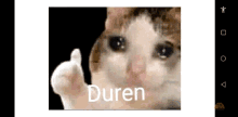 a picture of a cat giving the middle finger with the word duren on the bottom