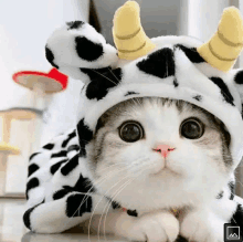 a cat wearing a cow costume with horns .