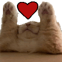 a cat is laying on its back with its paws up and a red heart above it .