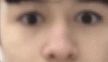 a blurry close up of a person 's eyes and nose .