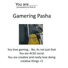 a poster with a picture of a bird and the words you are gaming pasha on it