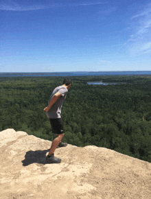 a man is standing on a cliff overlooking a forest