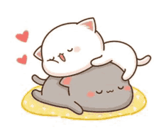 a white cat is laying on top of a gray cat on a blanket .