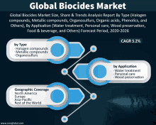 a graph showing the global biocides market size and share