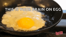 a fried egg in a frying pan with the words this is your brain on egg