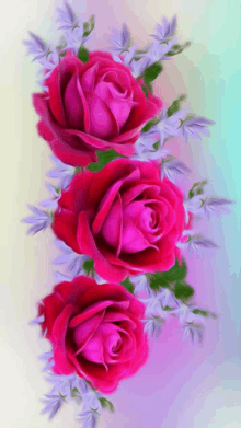 a painting of three pink roses on a blue and pink background