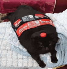 a black cat is laying on a blanket with a coca cola bottle on its back