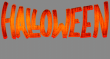 the word halloween is written in orange letters on a grey background