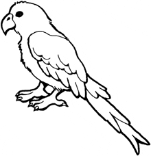 a black and white drawing of a parrot with a long tail