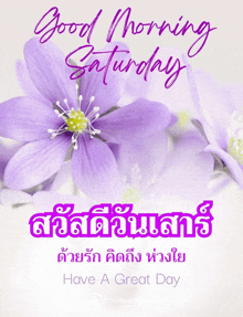 a purple flower with the words good morning saturday