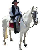 a man in a hat is riding a white horse with a red saddle