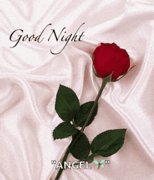 a good night card with a red rose on a satin cloth