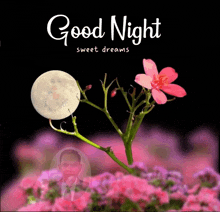 a good night sweet dreams card with a picture of a man and flowers