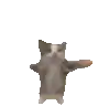 a cat is flying through the air with its arms outstretched on a white background .