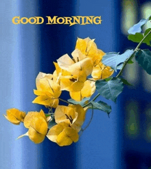 a bunch of yellow flowers with the words good morning written on the bottom