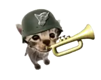 a kitten wearing a military helmet is playing a trumpet