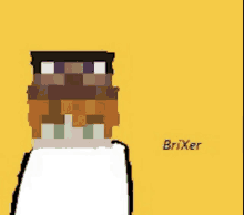 a pixel art of a person with the name brixer