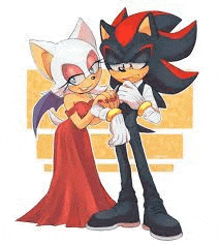 shadow the hedgehog and rouge the bat are standing next to each other in a cartoon .