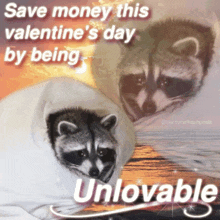 two raccoons wrapped in a white blanket with the words save money this valentine 's day by being unlovable