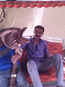 a man sitting on a couch holds a bird in his hand