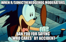 a cartoon of sonic the hedgehog with the caption " ban you for saying " who cares " by accident "