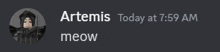 a screenshot of artemis today at 7:59 am and meow