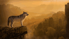 a wolf standing on top of a rocky cliff