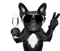 a dog wearing sunglasses and a bow tie is holding a glass of champagne and making a peace sign