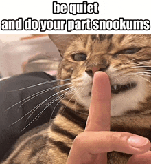 a cat with a person 's finger in its mouth and the caption be quiet and do your part snookums